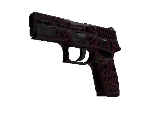 StatTrak™ P250 | Contaminant (Well-Worn)