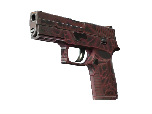 P250 | Contaminant (Well-Worn)