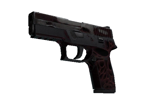 StatTrak™ P250 | Contaminant (Battle-Scarred)