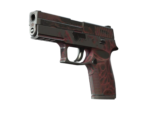 P250 | Contaminant (Battle-Scarred)