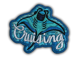 Patch | Cruising Ray