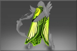 Sparrowhawk Cape